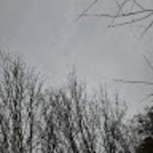 Meet your Posher, Jadyn